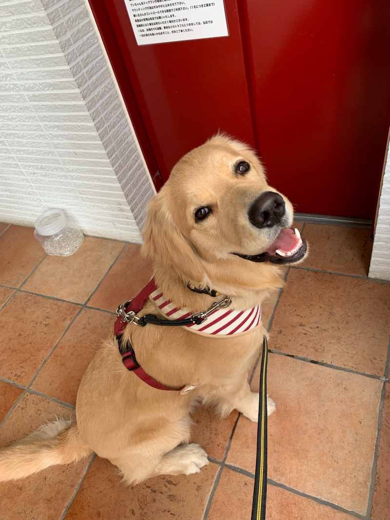 ファイル 6918-1.jpg