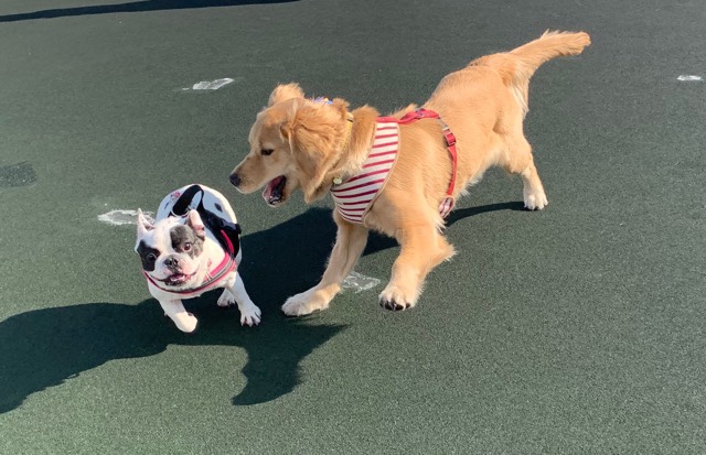 ファイル 6918-2.jpg