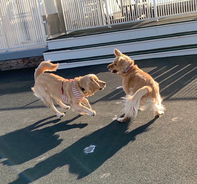 ファイル 6918-3.jpg