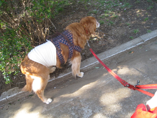 ファイル 692-1.jpg