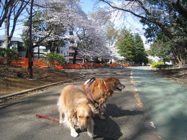 ファイル 692-3.jpg