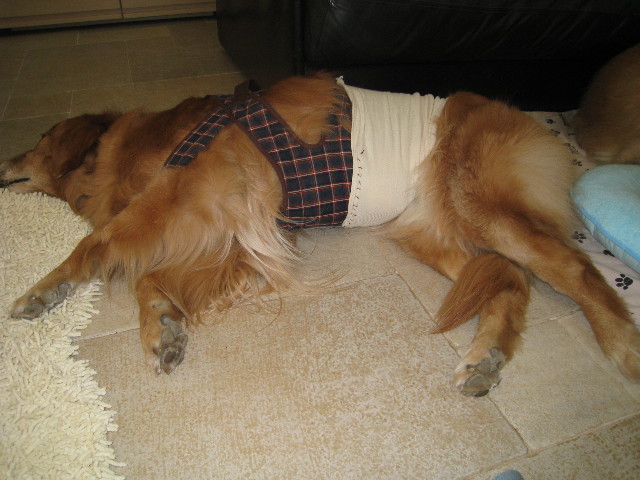 ファイル 692-5.jpg