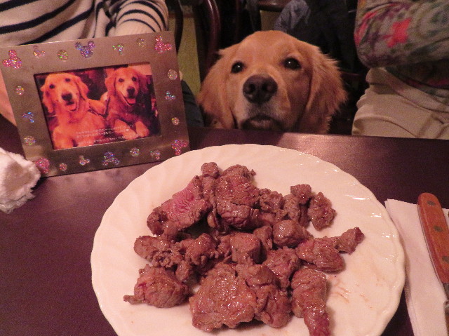 ファイル 6921-2.jpg