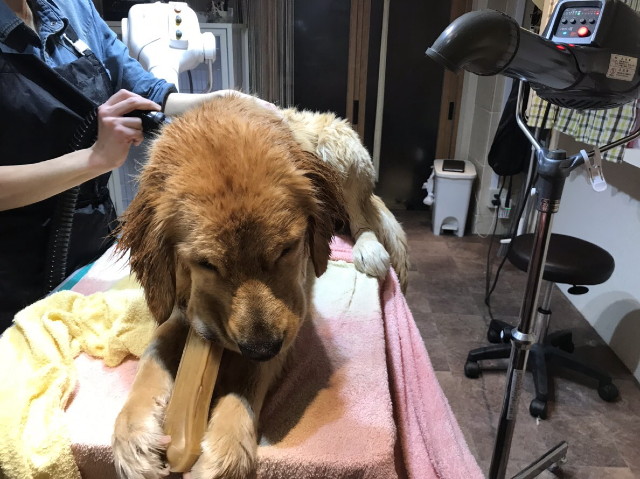 ファイル 6925-1.jpg