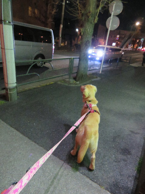 ファイル 6925-3.jpg