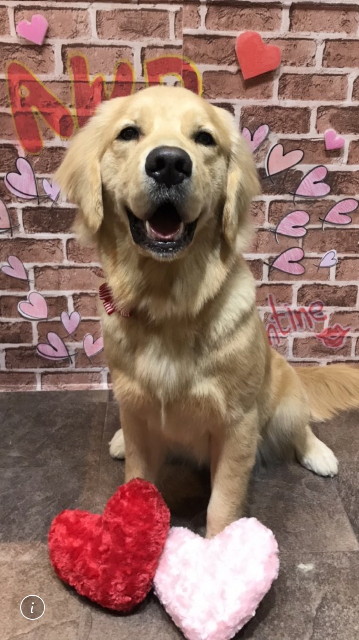 ファイル 6926-2.jpg