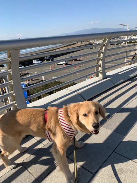 ファイル 6928-2.jpg