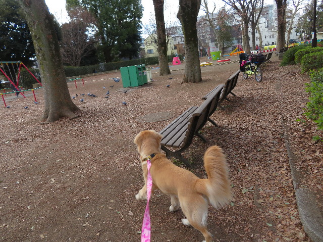 ファイル 6929-2.jpg