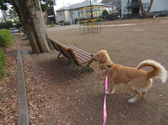 ファイル 6929-3.jpg