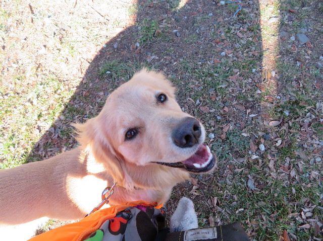 ファイル 6931-3.jpg