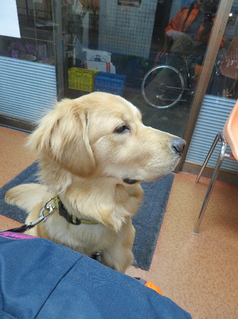 ファイル 6931-5.jpg