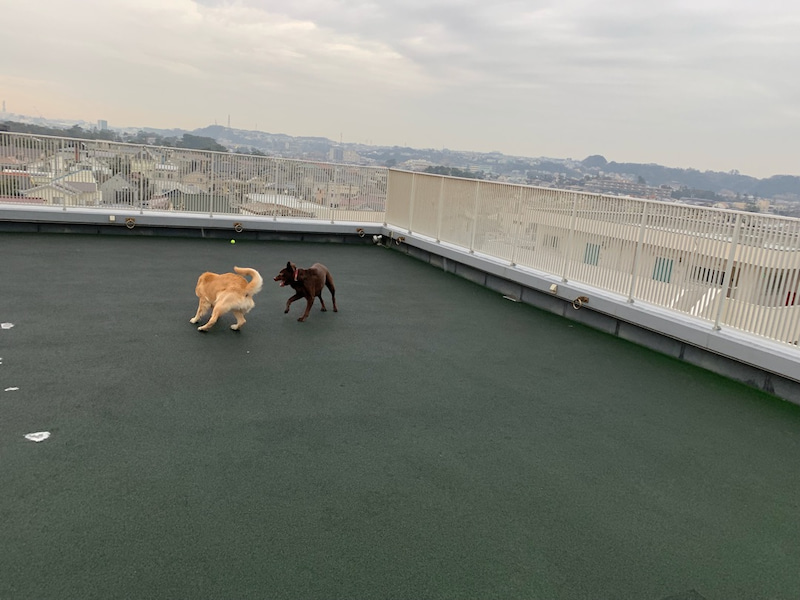 ファイル 6938-3.jpg