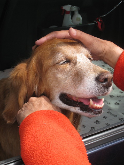 ファイル 694-4.jpg