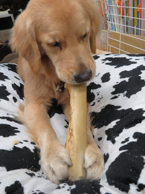 ファイル 6940-1.jpg