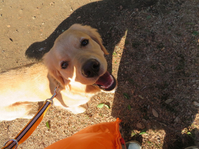 ファイル 6940-3.jpg