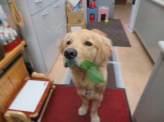 ファイル 6940-4.jpg