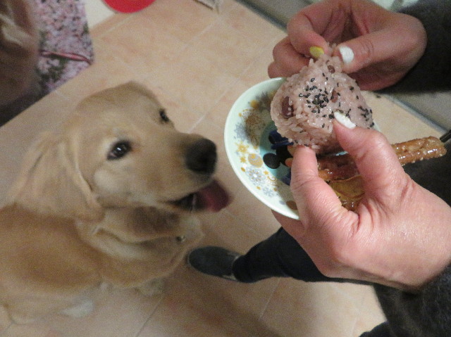 ファイル 6941-2.jpg