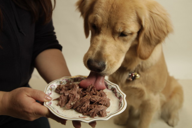 ファイル 6941-3.jpg