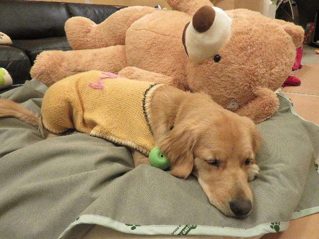 ファイル 6944-1.jpg