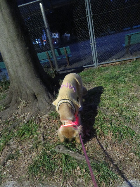 ファイル 6944-2.jpg