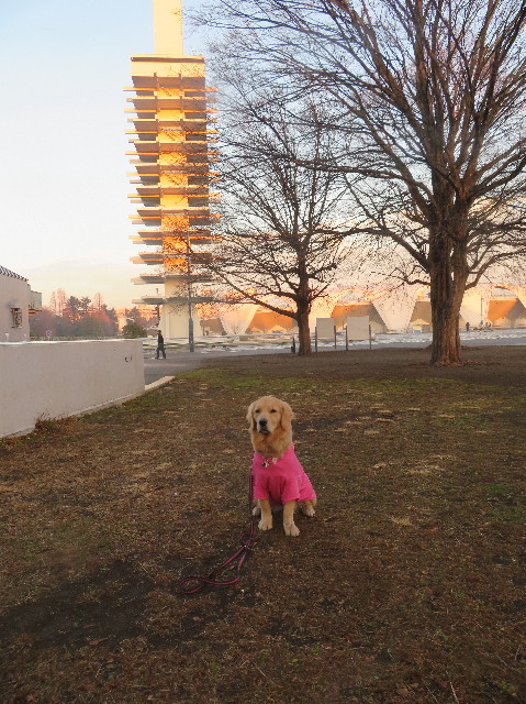 ファイル 6945-1.jpg