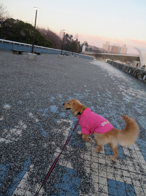 ファイル 6945-2.jpg