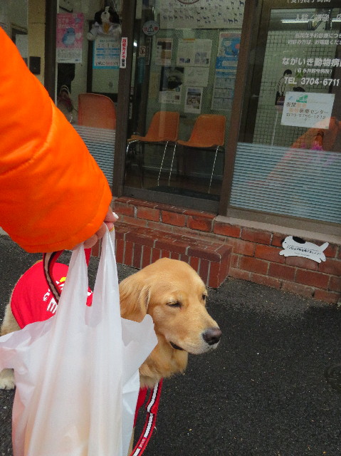 ファイル 6948-4.jpg