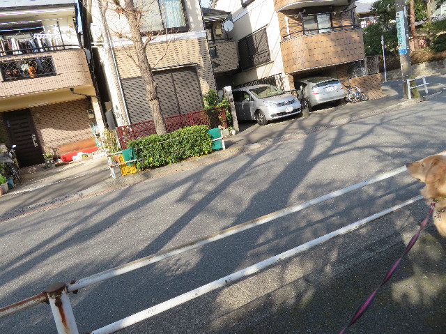 ファイル 6949-2.jpg