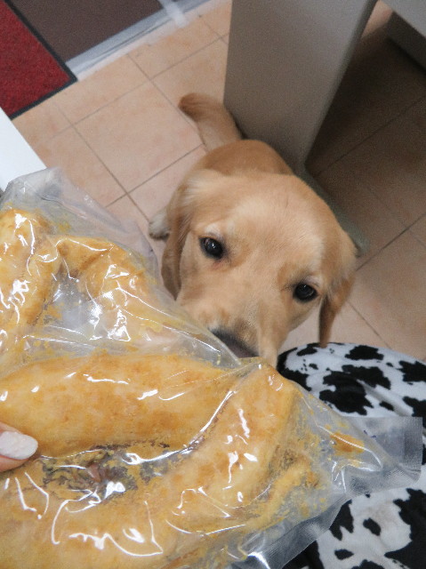 ファイル 6949-5.jpg