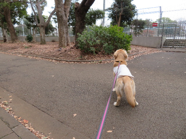 ファイル 6950-3.jpg