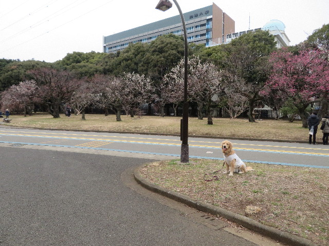 ファイル 6950-4.jpg