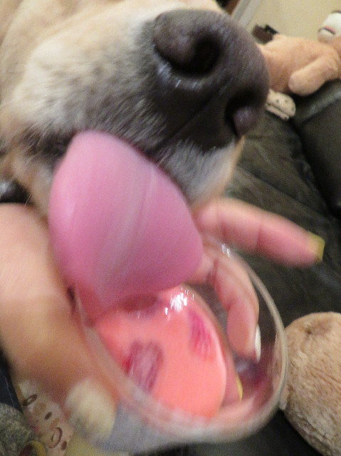 ファイル 6953-4.jpg