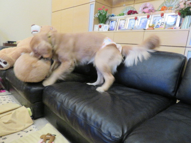 ファイル 6954-3.jpg