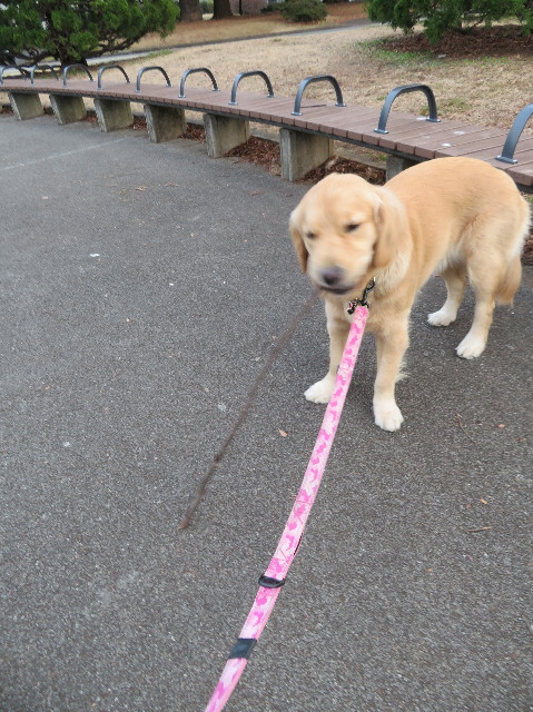 ファイル 6955-2.jpg