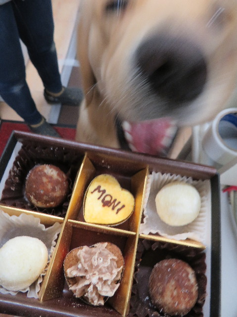 ファイル 6956-1.jpg