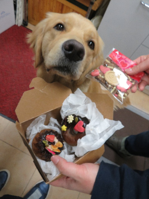 ファイル 6956-3.jpg