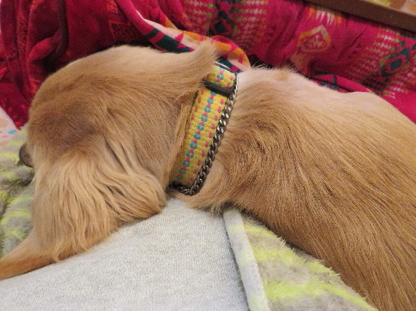 ファイル 6957-2.jpg