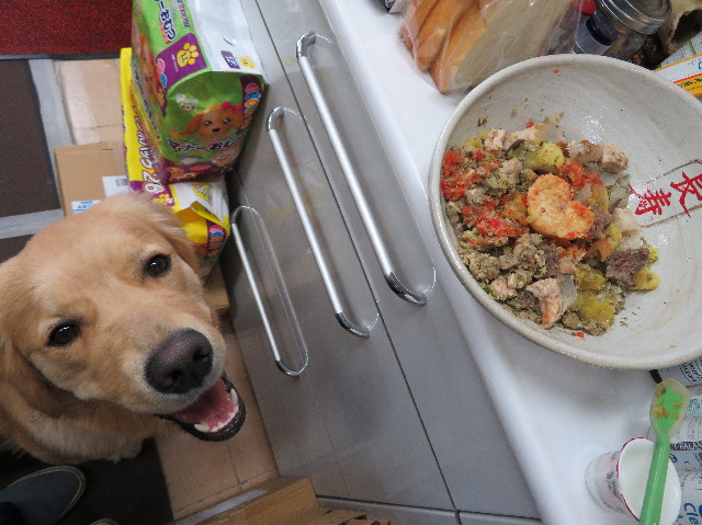 ファイル 6958-2.jpg