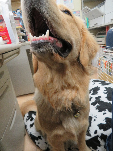 ファイル 6958-3.jpg