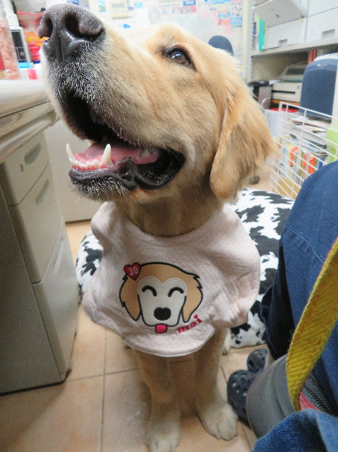 ファイル 6958-4.jpg