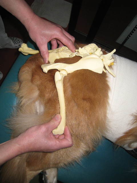 ファイル 696-1.jpg