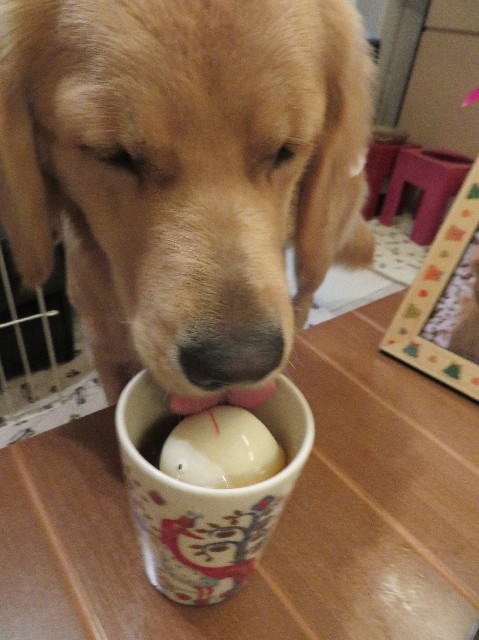 ファイル 6960-3.jpg