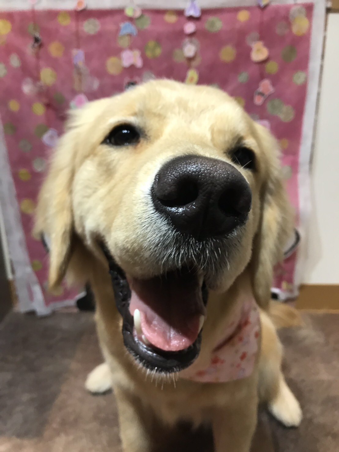 ファイル 6963-4.jpg