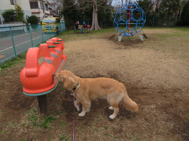 ファイル 6964-4.jpg