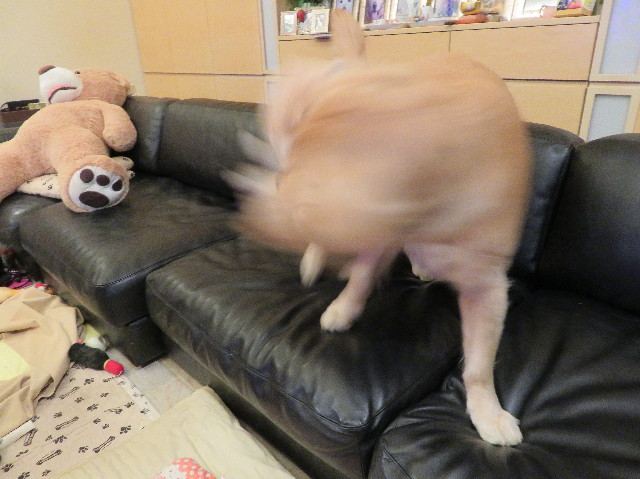 ファイル 6967-4.jpg