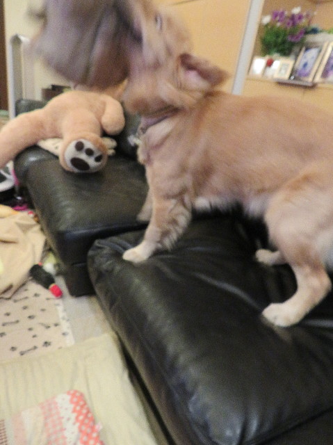 ファイル 6967-5.jpg