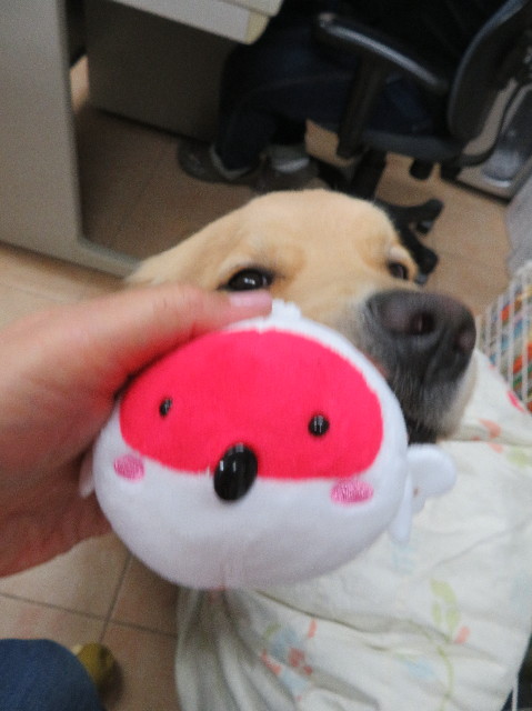 ファイル 6968-5.jpg