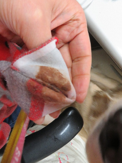 ファイル 6969-3.jpg