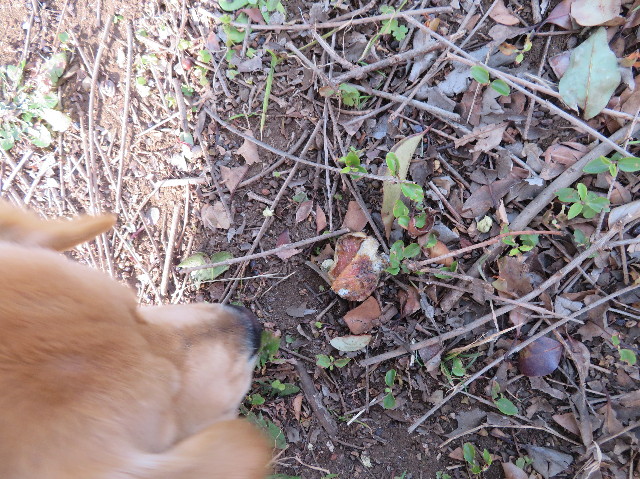 ファイル 6969-4.jpg