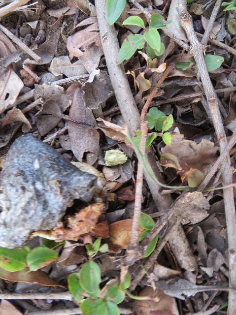 ファイル 6969-5.jpg